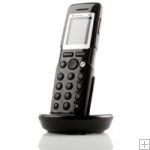 DECT